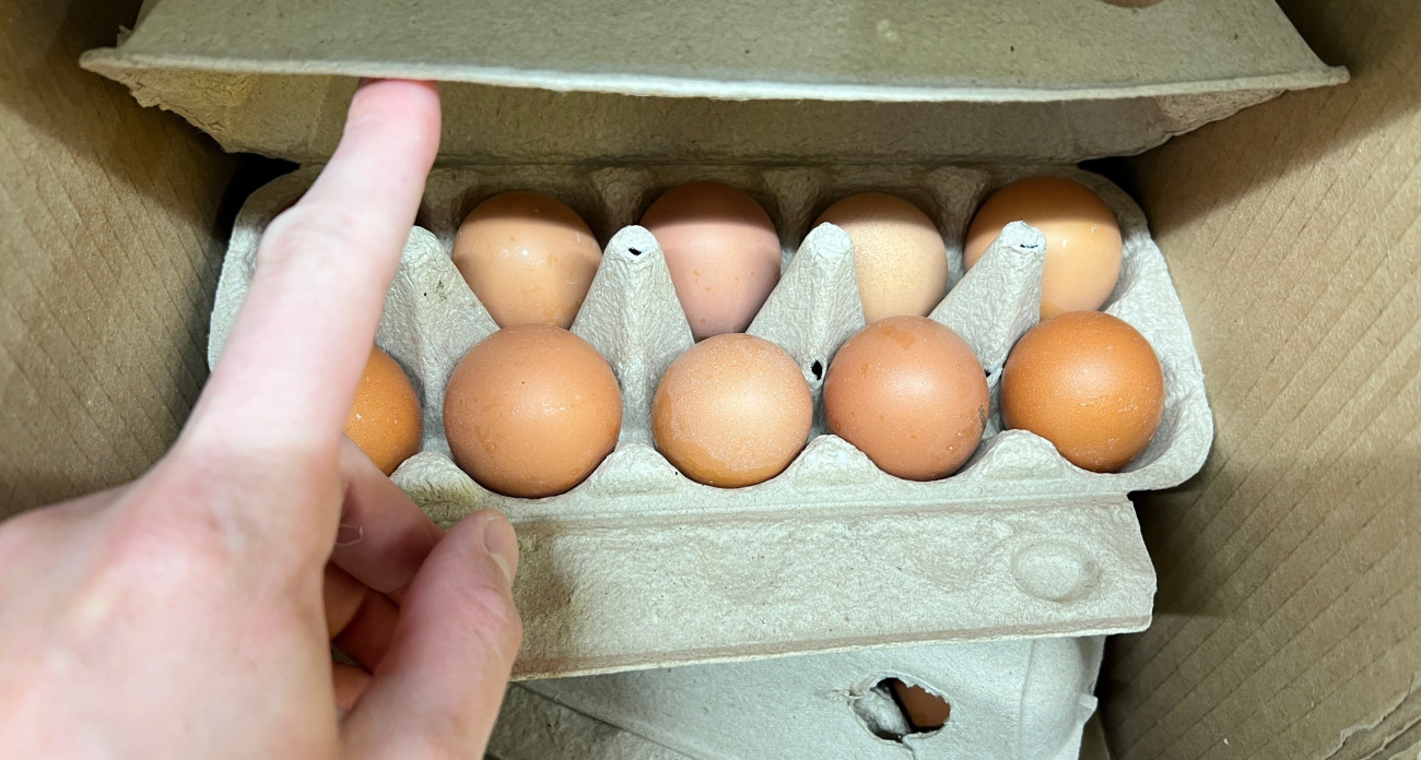  ������� ������ ��������� ��������� ����������� �������� ���� ��������� 