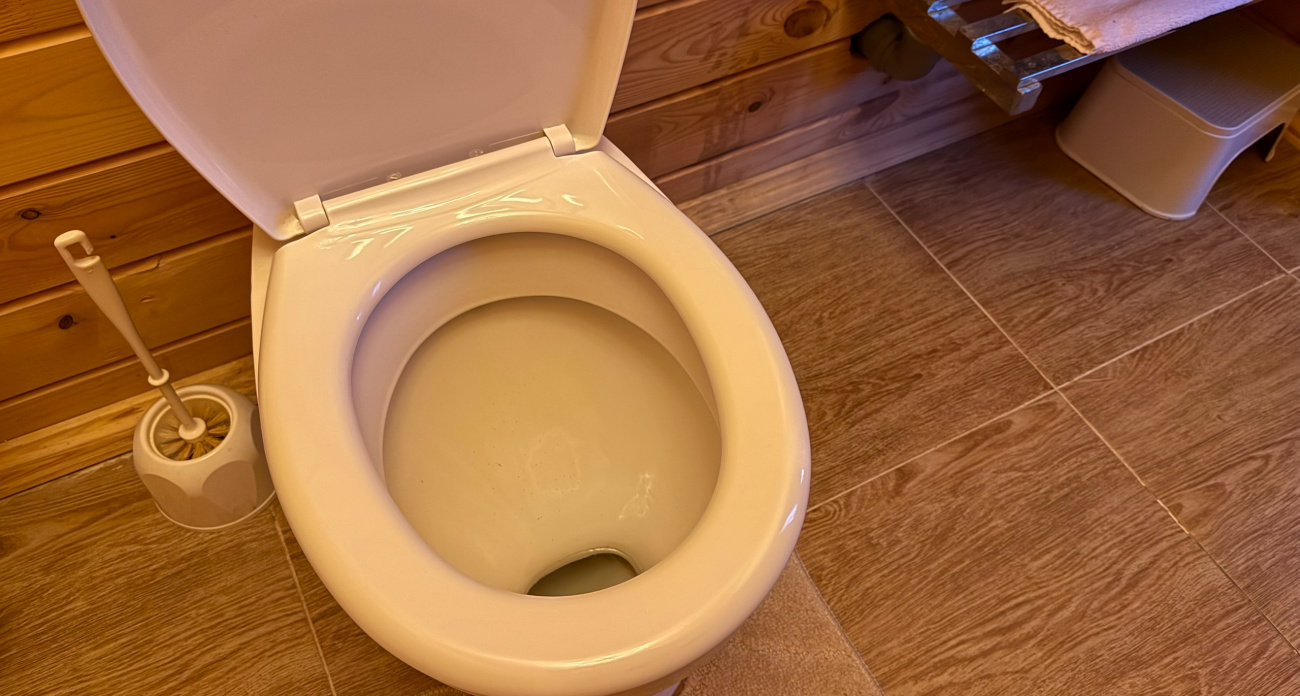  ��������� ������ ���� ����������� ����� ������ 