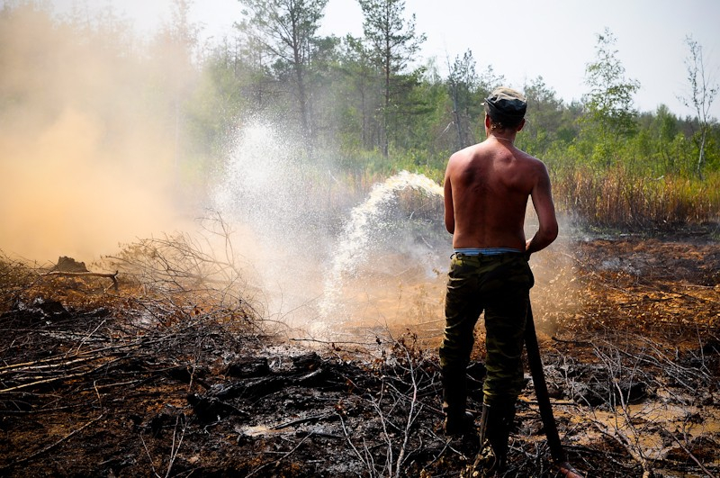 Рослесхоз: «В Марий Эл ожидается вспышка лесных пожаров»