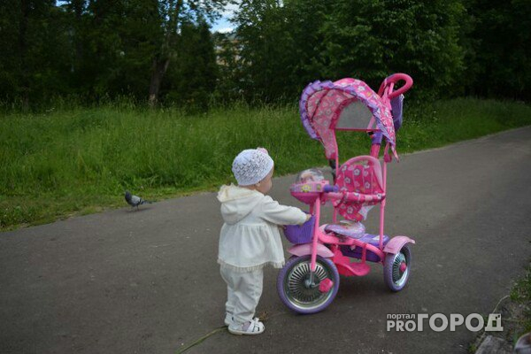 В Марий Эл 3-летняя девочка украла детский велосипед