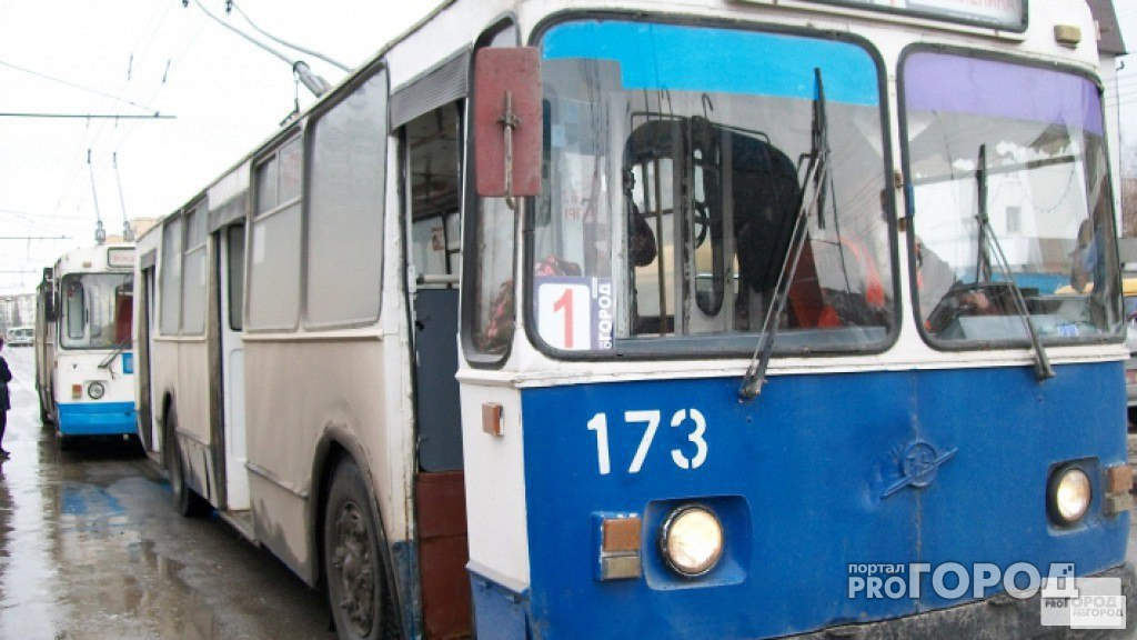 В Йошкар-Оле троллейбус сбил 3-летнюю девочку