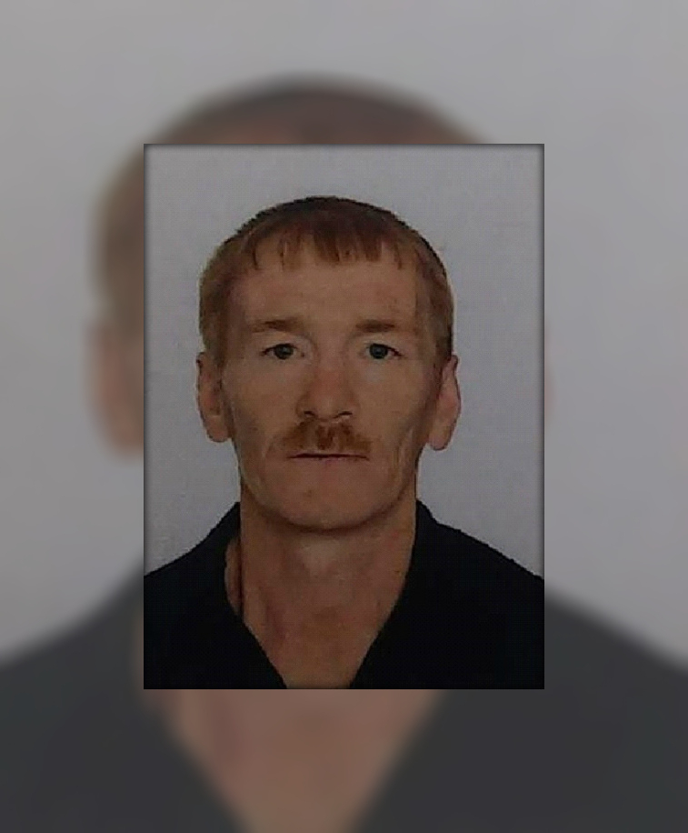 Полиция ищет пропавшего в лесу Марий Эл мужчину