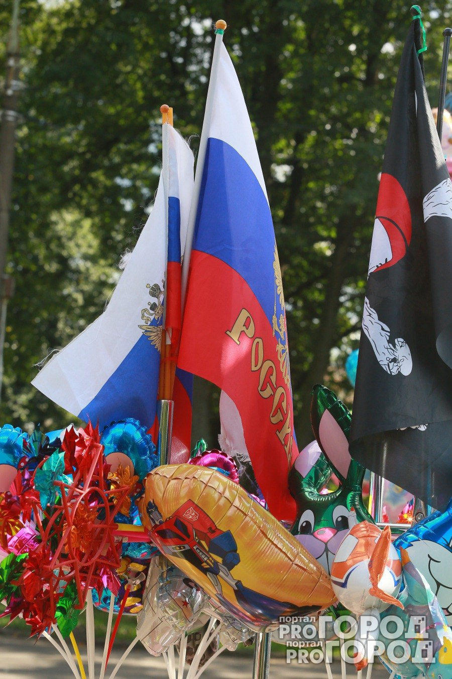 Врио главы Марий Эл поздравил жителей с Днем государственного флага