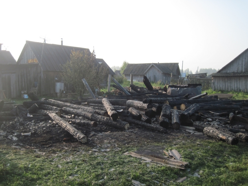 В Марий Эл в пожаре сгорели два поросенка, но куры выжили
