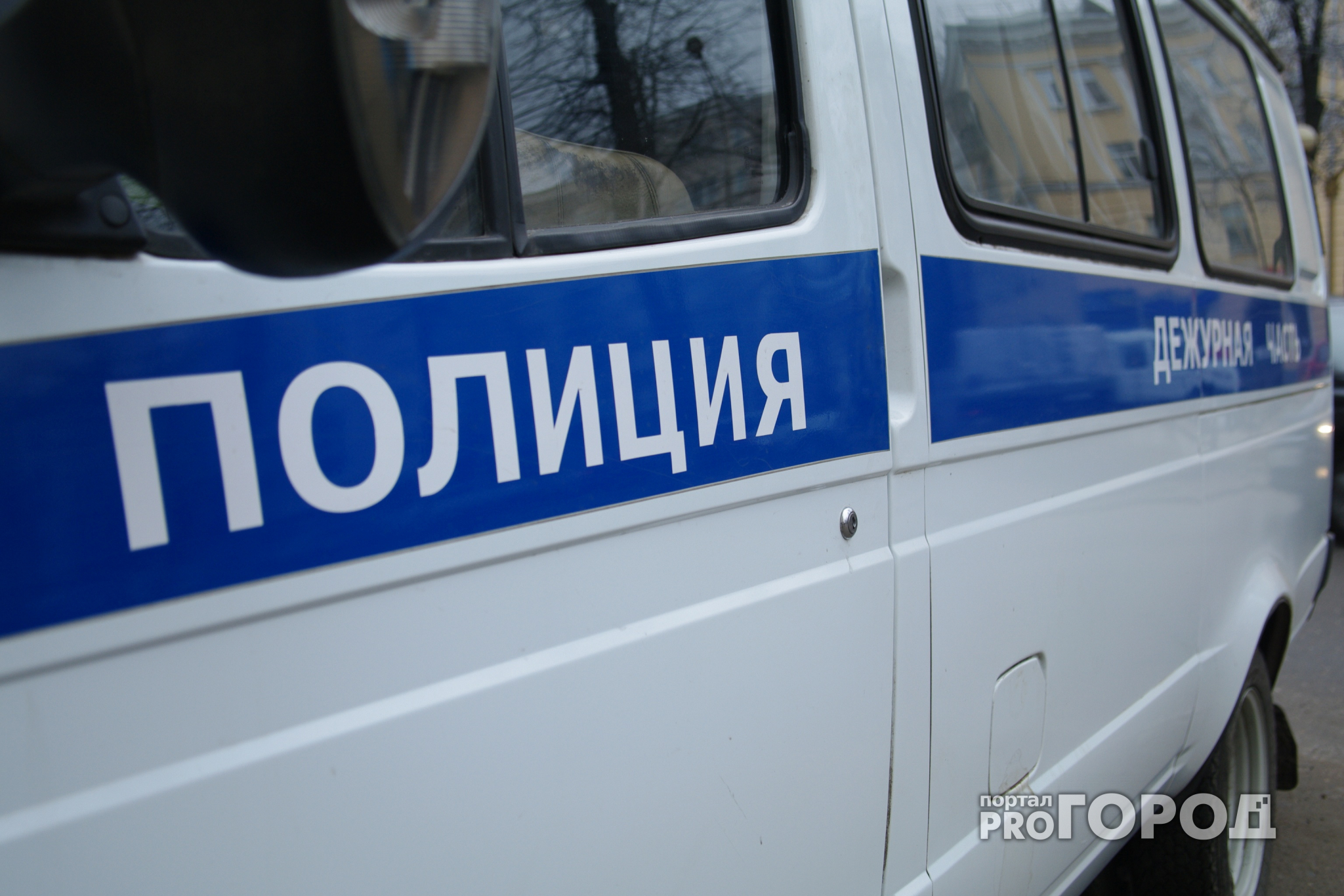 В Йошкар-Оле сотрудники полиции "загрузили в бобик" дерущуюся компанию