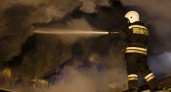 Пожар в Мари-Турекском районе Марий Эл унес жизнь женщины 