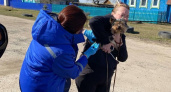 В Йошкар-Оле собак и кошек бесплатно вакцинируют против бешенства