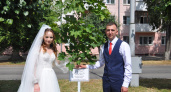 В Йошкар-Оле молодожены посадили дерево на бульваре Победы 