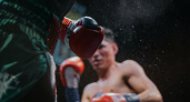 Разминка с чемпионом мира, аукцион боксерских перчаток: как пройдет День бокса в Йошкар-Оле  