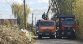 Мэр Волжска призвал горожан не бросать ветки и древесный мусор в контейнеры