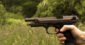 Жители Марий Эл за деньги сдают полиции оружие и патроны: расценки