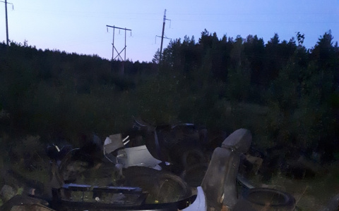 Озеро в Марий Эл завалили отходами с автомастерской (ВИДЕО)