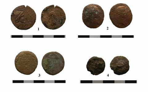 Археологам из Марий Эл в поисках клада монет помог суслик