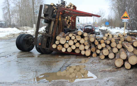 В Марий Эл незаконно вырубили деревья на более 1,8 миллионов рублей