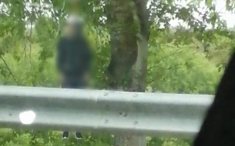 «Темно-синяя куртка и кроссовки найк»: рано утром на дереве нашли тело неизвестного мужчины
