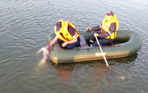 Спасатели подняли со дна тело жителя Марий Эл, утонувшего рядом с плотиной