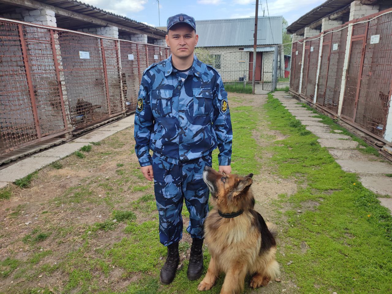 Кинолог УФСИН рассказал правила защиты от бродячих собак: “Двоих людей они  уже боятся”