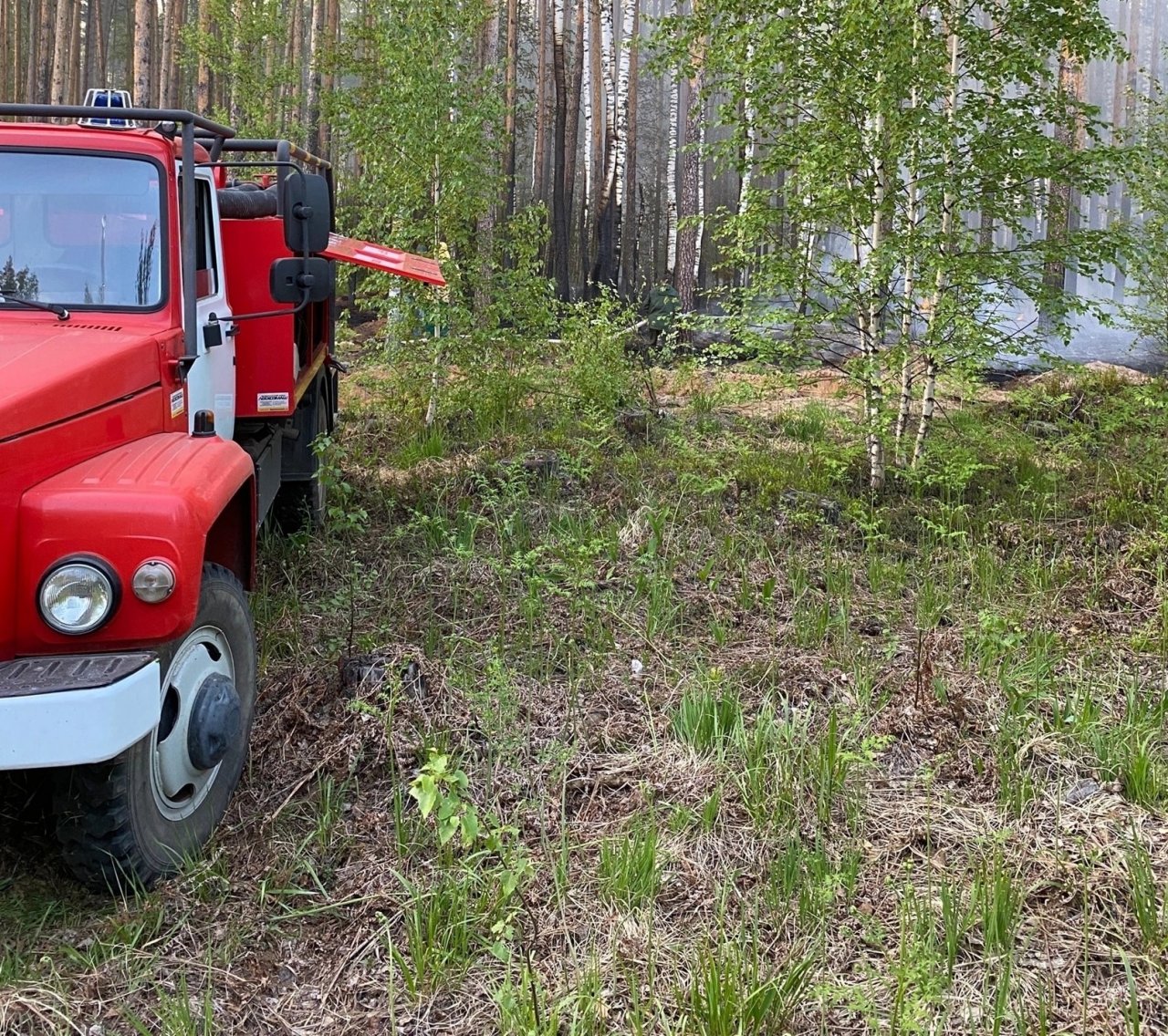 В Марий Эл начинают загораться леса из раза в раз