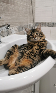 Анна Тубердина 