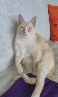 Лариса