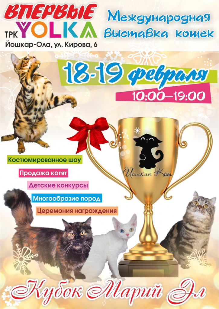 Выставка кошек йошкар ола. Выставка кошек Йошкин кот. Кубок с кошкой. Выставка кошек Йошкар-Ола Планета.