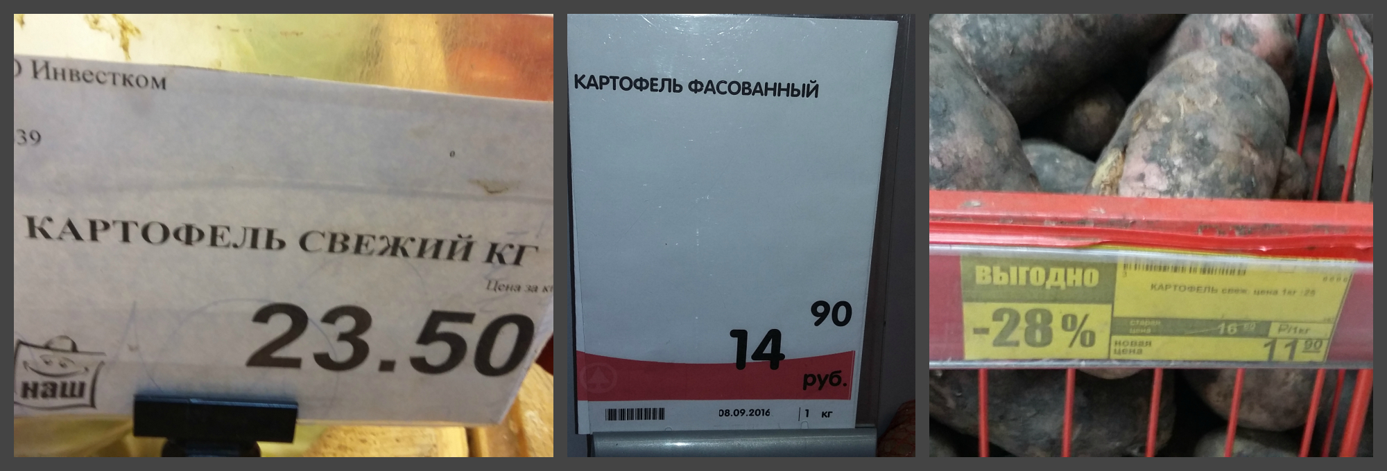 Килограмм картошки стоит 40 рублей. Картофель фасованный. Магнит картофель. Картофель фасованный магнит. Картошка в магните.
