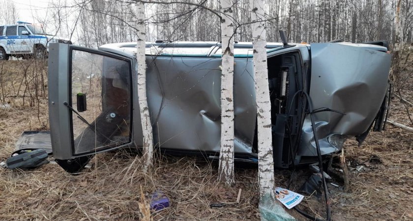 В Марий Эл автоледи сбила собаку отправила "девятку" в кювет