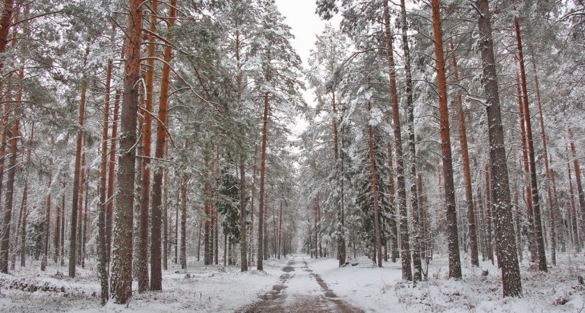 Гороскоп на 14 декабря для всех знаков зодиака