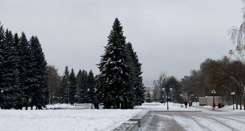 «Время погулять»: в Йошкар-Оле сохранятся несколько градусов мороза