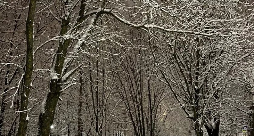 «Снежинки падают, падают»: в Йошкар-Оле похолодает на несколько градусов 