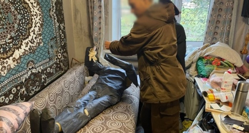 В Йошкар-Оле задержан мужчина, подозреваемый в убийстве своей бабушки 