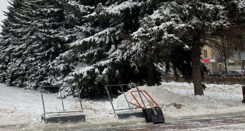 В Йошкар-Оле на смену снегопаду придет сильный ветер 