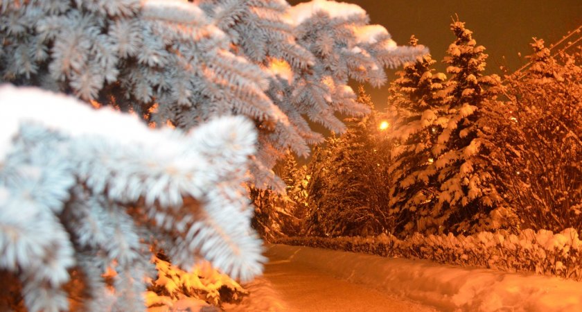 «Снег глубок - год хорош»: Йошкар-Олу снова накроют снегопады