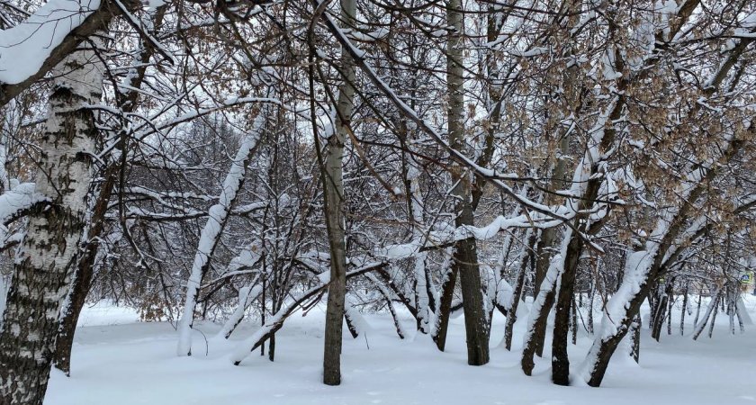 Снегопады в Йошкар-Оле прекратятся 