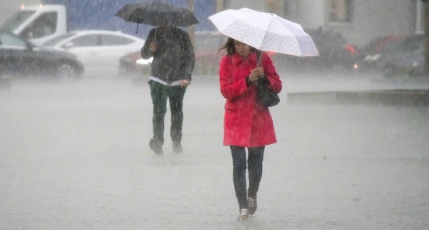 Йошкаролинцев ждет холодное и дождливое начало недели