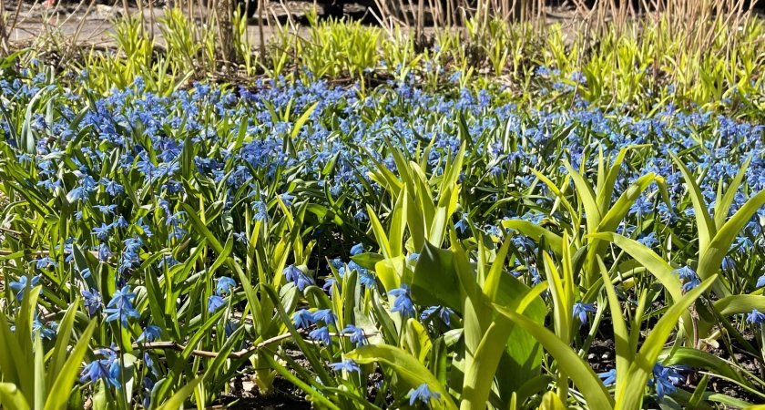 Йошкаролинцев ожидает теплый пасхальный день