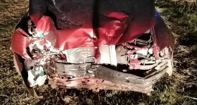 В Марий Эл неизвестный водитель иномарки съехал в кювет, трое пострадали