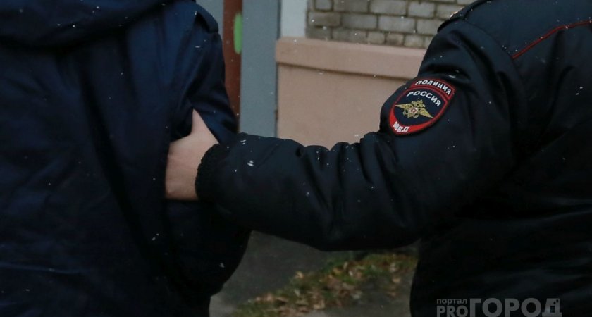 Волжанин заплатит 100 тысяч рублей штрафа за нападение на полицейского