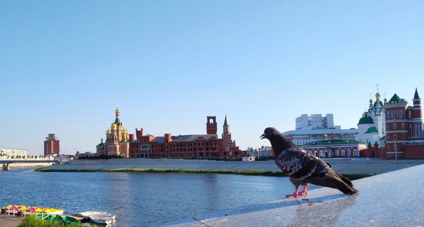 Настоящую летнюю погоду обещают йошкаролинцам в конце недели