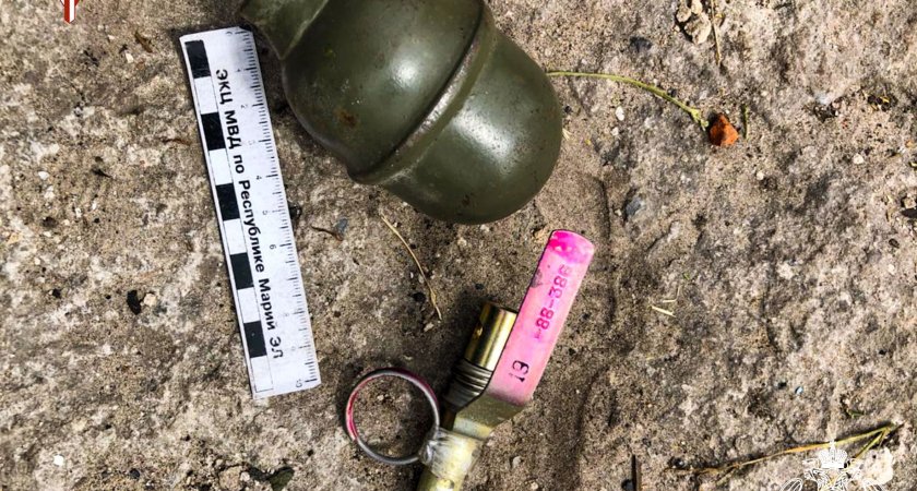 Житель Звениговского района нашел гранату в собственной бане 