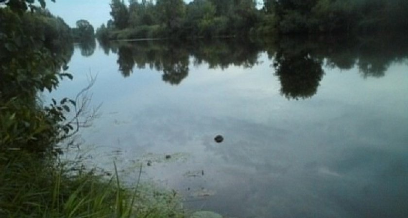 В Марий Эл ночью мужчина пошел искупаться в пруду и утонул 