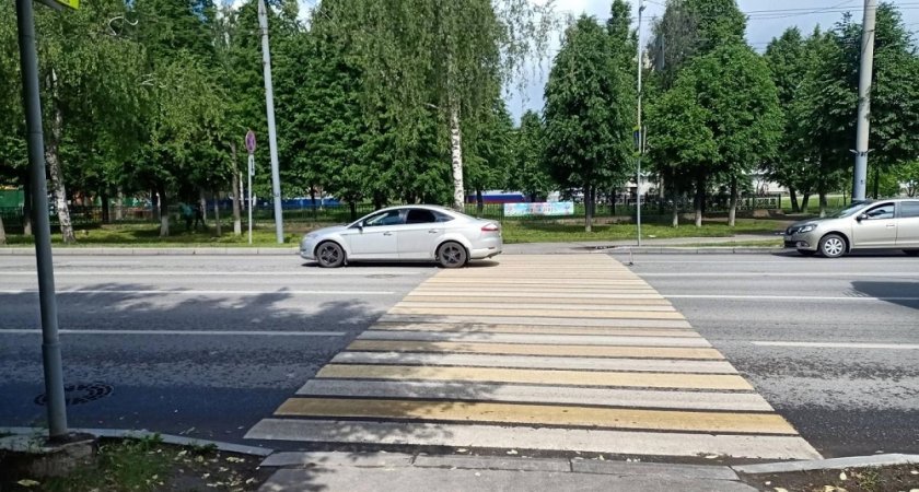 В Марий Эл за день сбили пешехода в городе и лося на трассе 