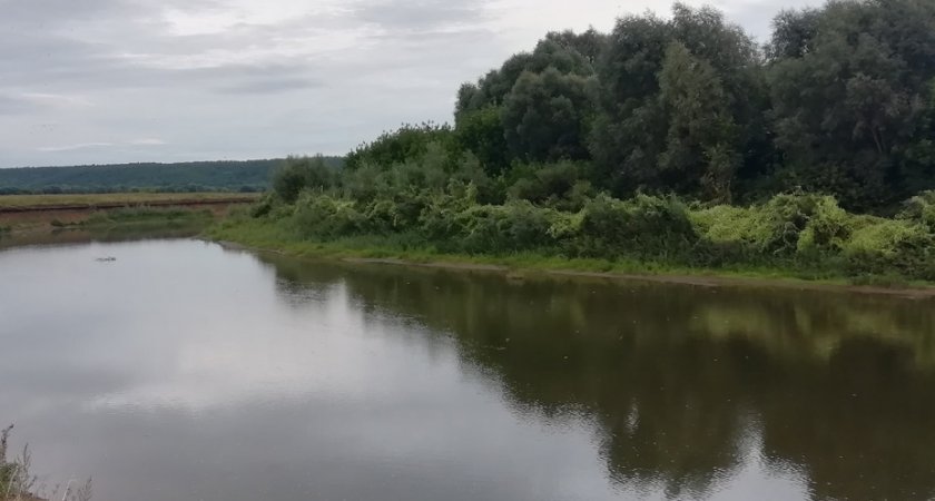 В Татарстане 13-летняя девочка из Волжска утонула в реке 