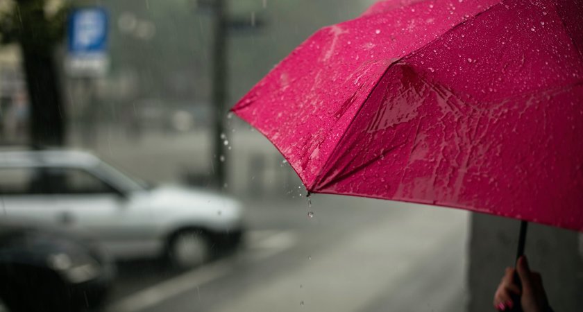 Синоптики прогнозируют дождливый четверг в Марий Эл