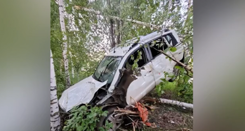 В Йошкар-Оле водитель устроил погоню и въехал в березовую рощу