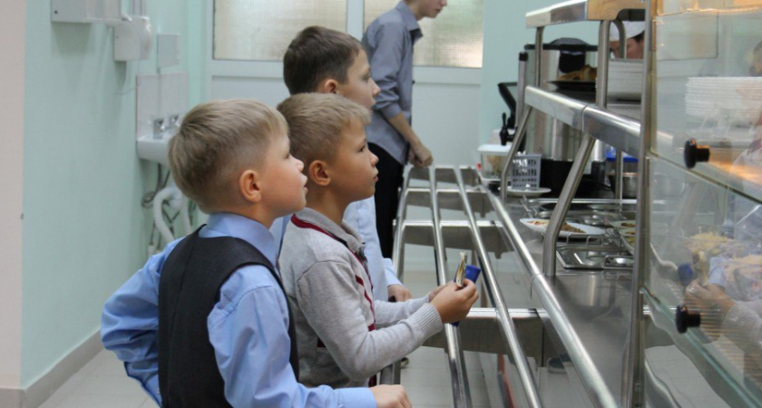 В Йошкар-Оле запустили чат-бот по жалобам на школьное питание