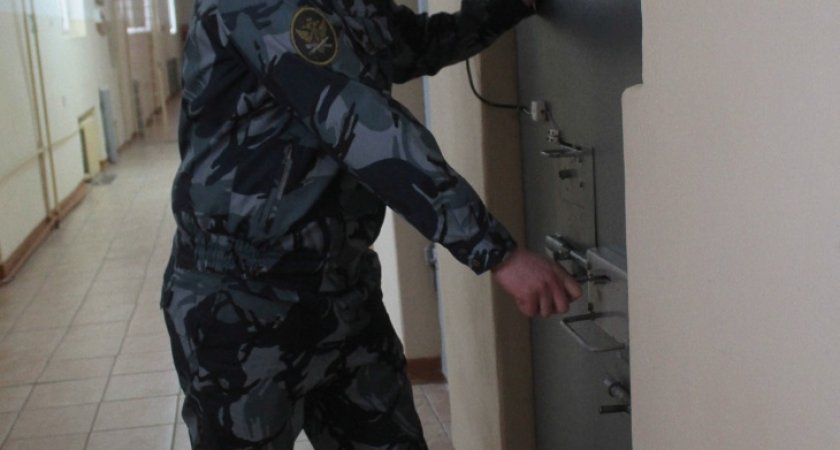 В Марий Эл любителя ездить под мухой отправили в колонию