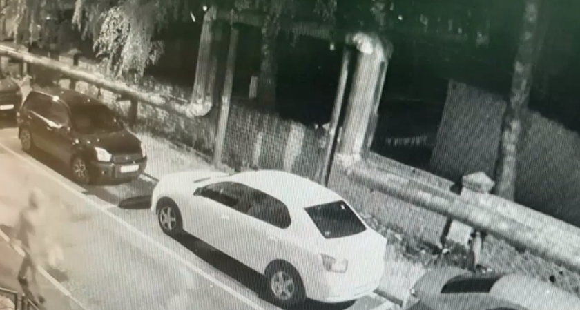 В Йошкар-Оле займутся похитителями цветов с дворовых клумб