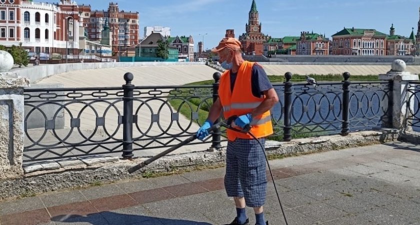 Набережную Йошкар-Олы поливают химикатами