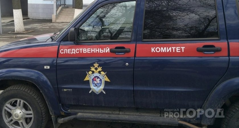 В Медведевском районе осудили женщину за убийство мужа